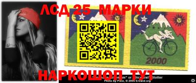 гашик Бердск