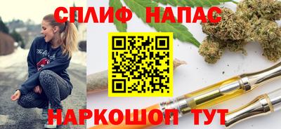 гашик Бердск