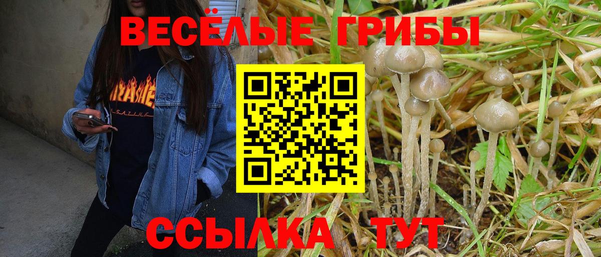 Галлюциногенные грибы прущие грибы  Вход с VPN  Псилоцибиновые грибы MAGIC MUSHROOMS  Грозный 